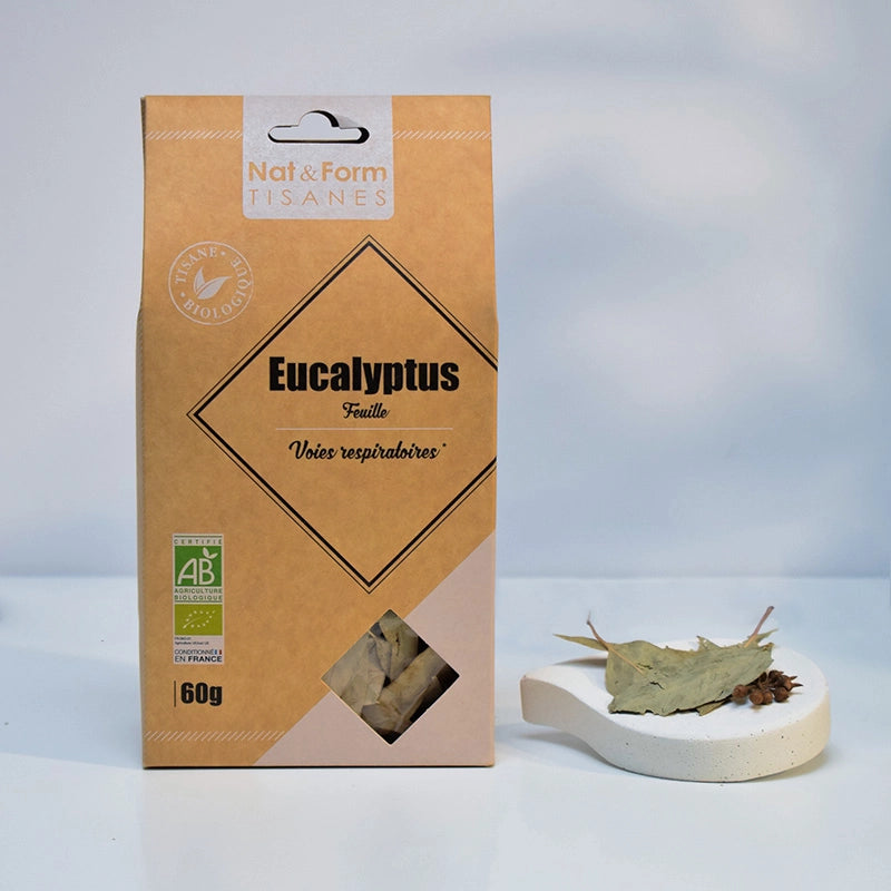 Tisane Eucalyptus bio